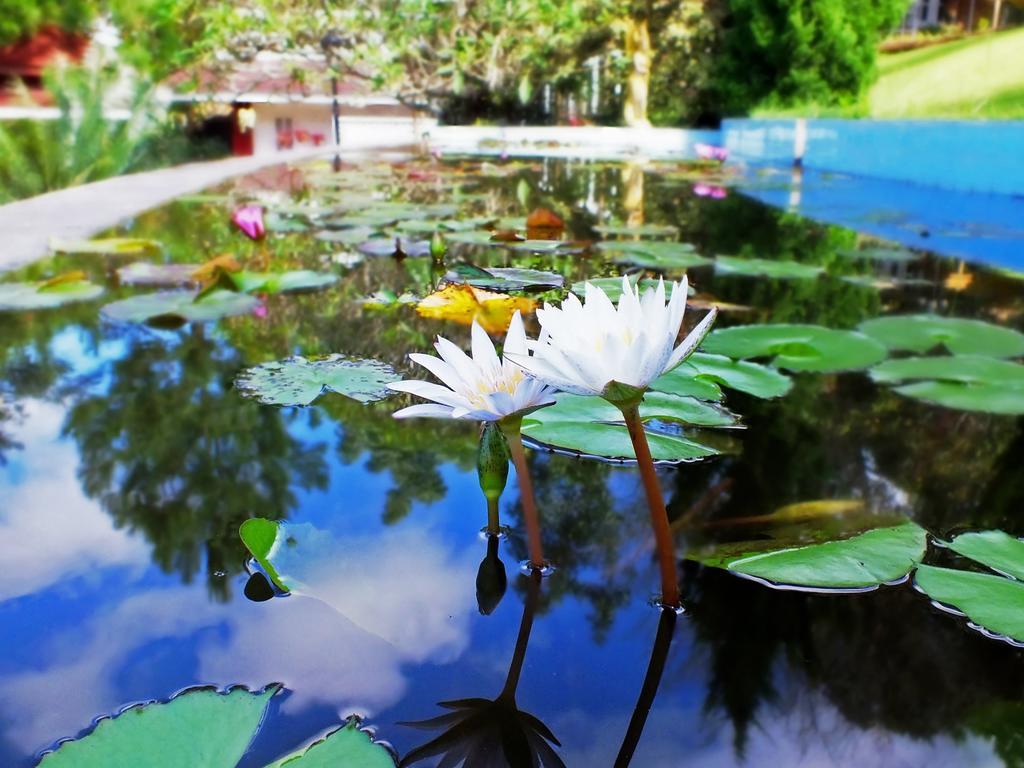Royal Kalaw Hills Resort Kültér fotó